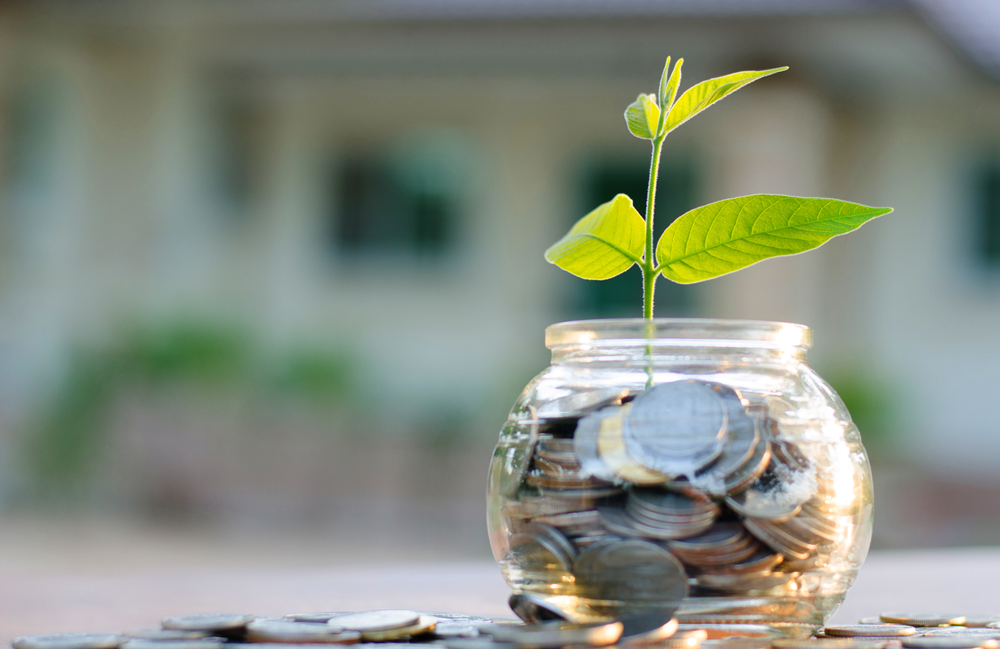Wealth Management Strategies for Diversification